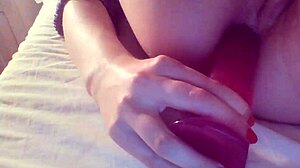 Pantat ketat Sofia diregangkan oleh plug pantat besar dalam video amatur ini
