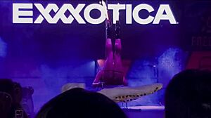 Anastasia Dior在新泽西州Edison庆祝Exxxoticas成立15周年